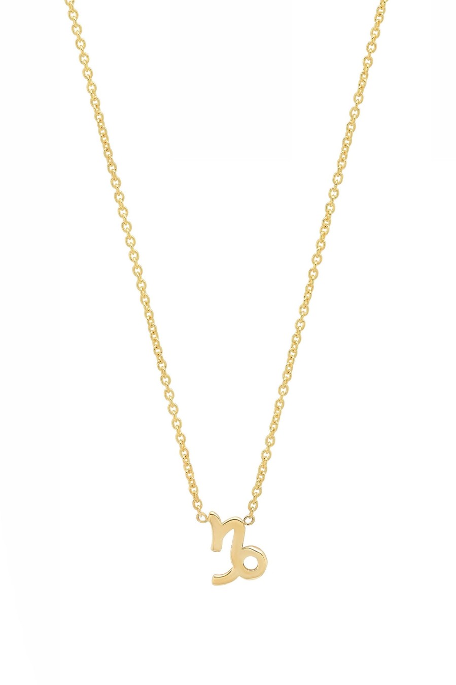 BYCHARI Necklaces | Capricorn Necklace