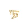 BYCHARI Earrings | Mini Diamond Capricorn Earring 14K Yellow