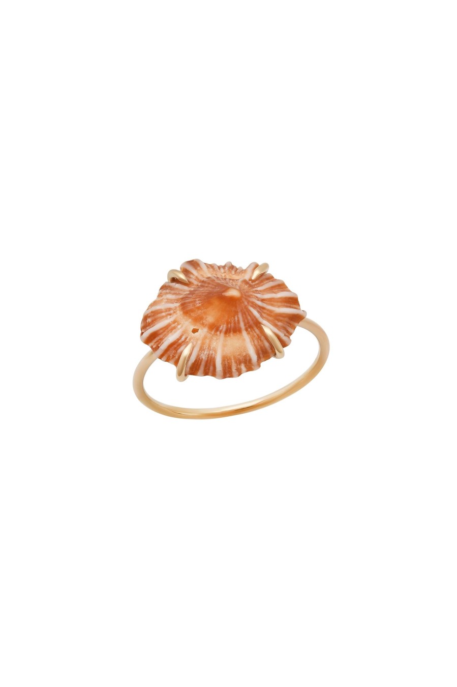 BYCHARI Rings | Opihi Ring No. 2406